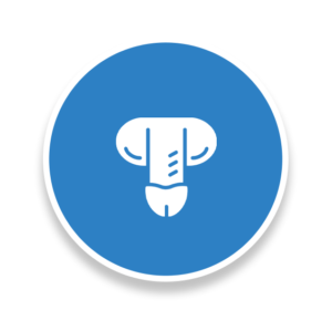 Penis Enlargement In Delhi, India